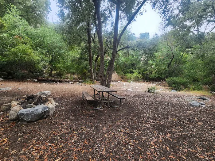 Bear Canyon Campground Picture 1