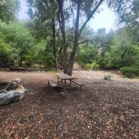 Bear Canyon Campground ico