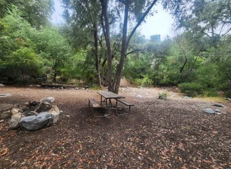 Bear Canyon Campground