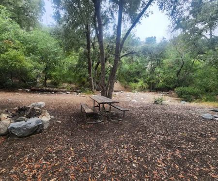 Bear Canyon Campground
