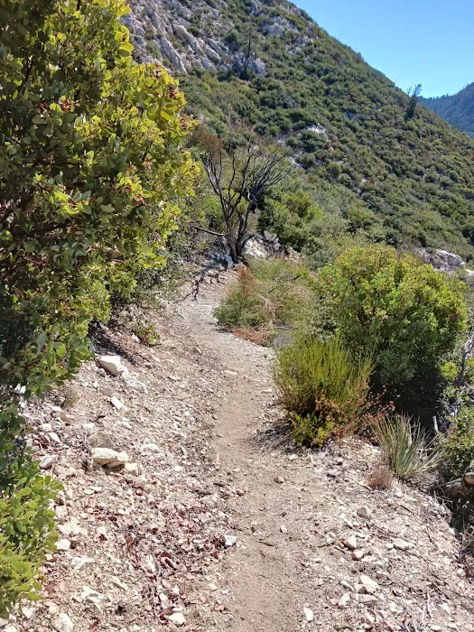 Bear Canyon Campground Picture 6