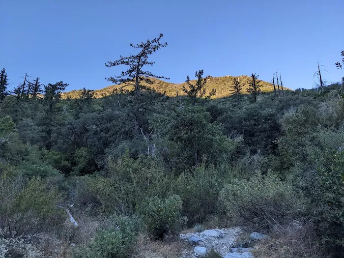 Bear Canyon Campground Picture 5