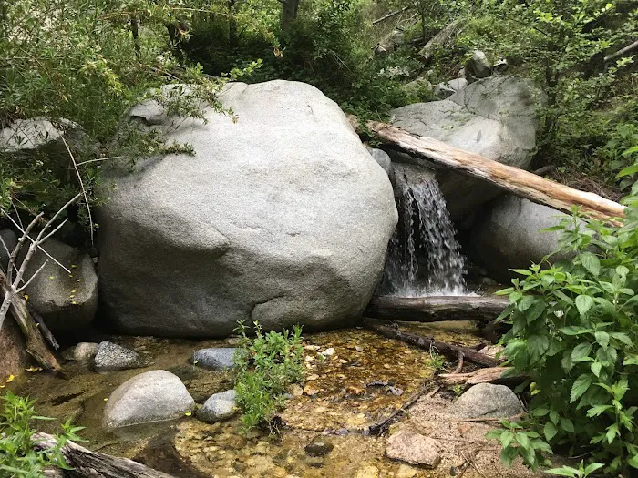 Bear Canyon Campground Picture 7