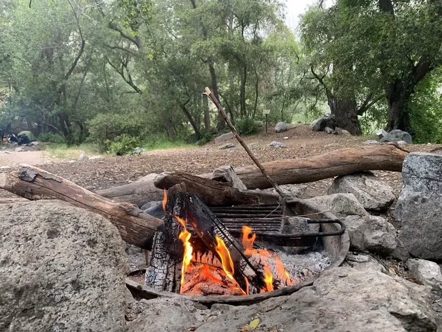 Bear Canyon Campground Picture 9