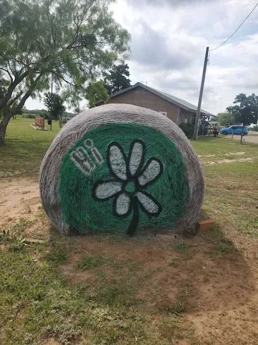 Lonesome Dove RV Park and Camp ( Stephenville, Tx) Picture 9
