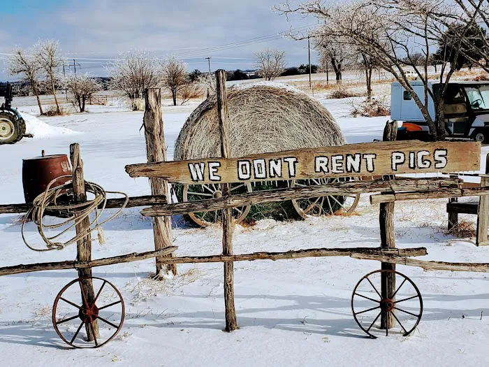 Lonesome Dove RV Park and Camp ( Stephenville, Tx) Picture 7