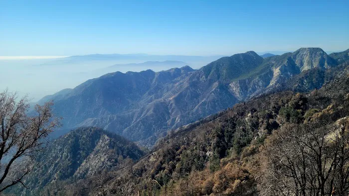 Mt. Wilson Skyline Park Picnic Site Picture 2