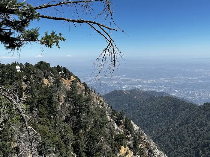 Mt. Wilson Skyline Park Picnic Site Picture 3