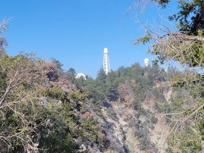 Mt. Wilson Skyline Park Picnic Site Picture 6