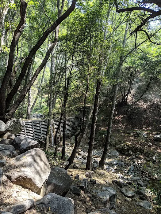 Hoegee Trail Camp Picture 2