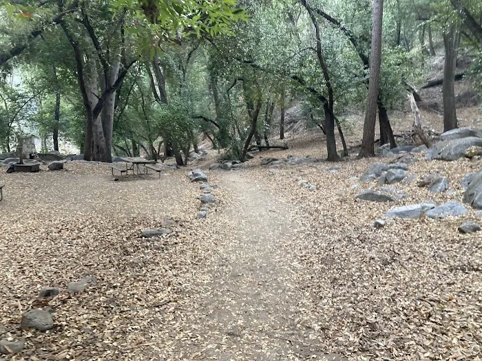 Hoegee Trail Camp Picture 3