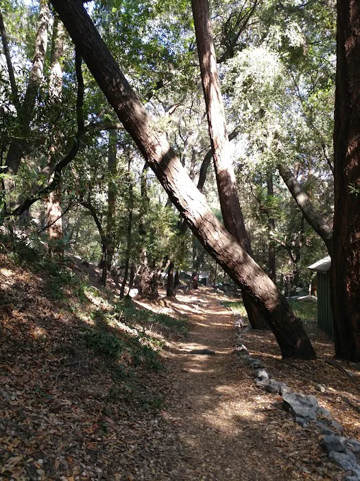Hoegee Trail Camp Picture 4