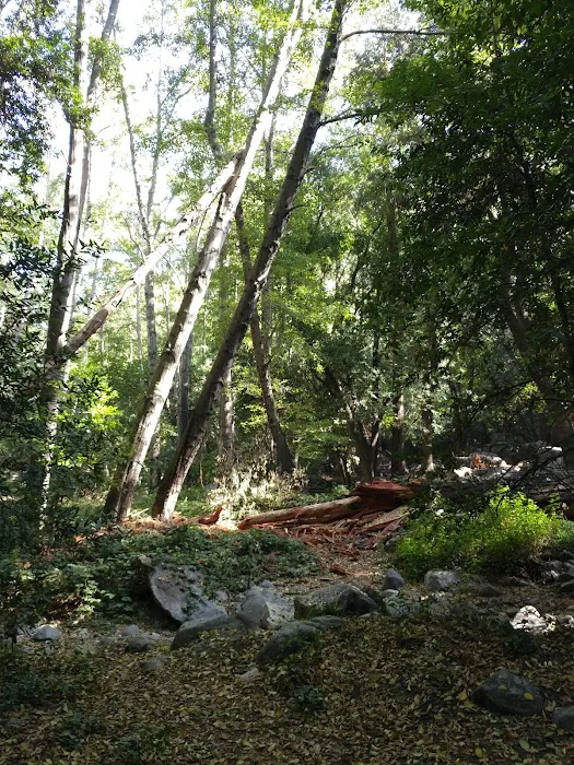 Hoegee Trail Camp Picture 7