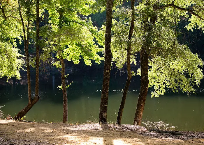 The Oaks Family RV Park & Campground Picture 6
