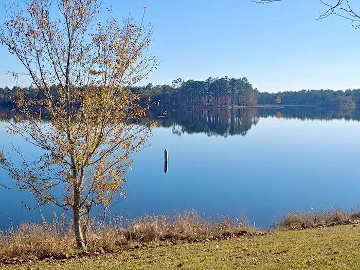 North Hurricane Lake Recreation Area Picture 4