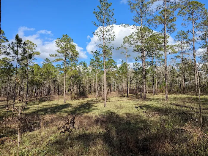 North Hurricane Lake Recreation Area Picture 8