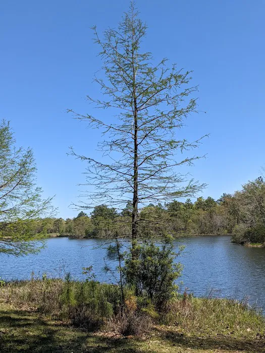 Hurricane Lake - Primative Camping Picture 5
