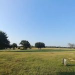 Finis Road RV Park