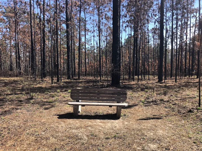 Bear Lake Campground Picture 5
