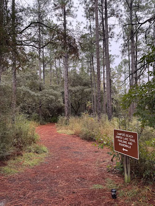 Blackwater River State Park Campground Picture 3