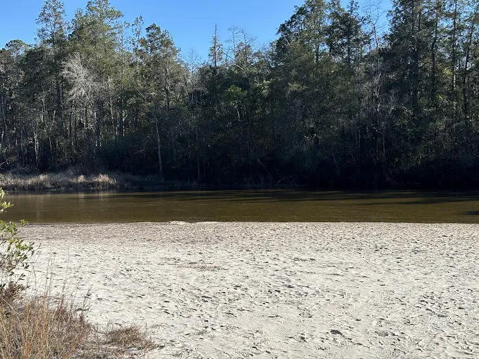 Blackwater River State Park Campground Picture 6