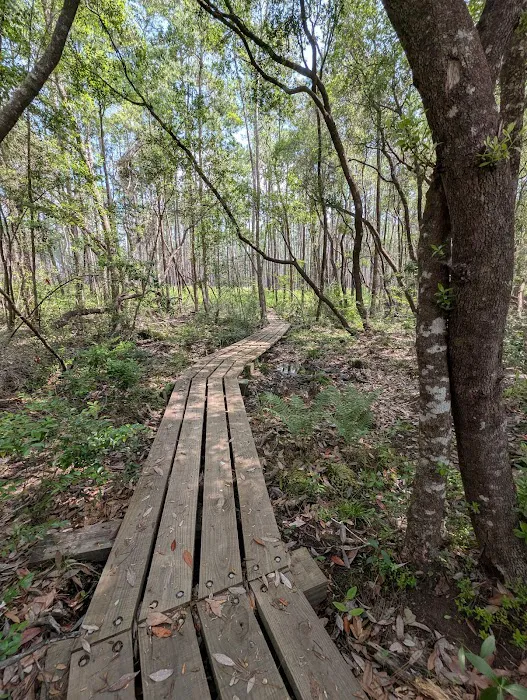 Blackwater River State Park Campground Picture 4