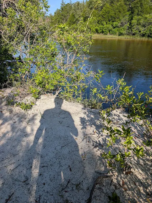 Blackwater River State Park Campground Picture 9