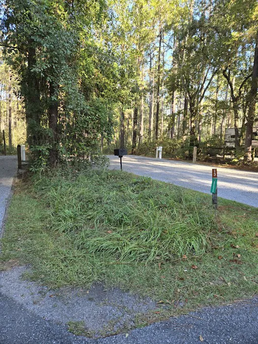Blackwater River State Park Campground Picture 8