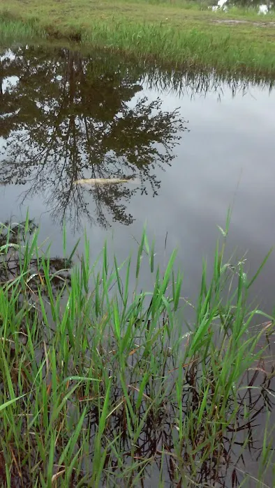 Lake Kristina Camp Grounds Picture 4