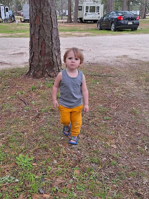 Lake Kristina Camp Grounds Picture 6
