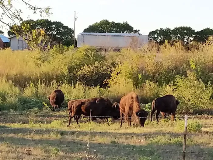Bison Hill Ranch Picture 2