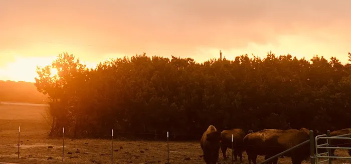 Bison Hill Ranch Picture 3