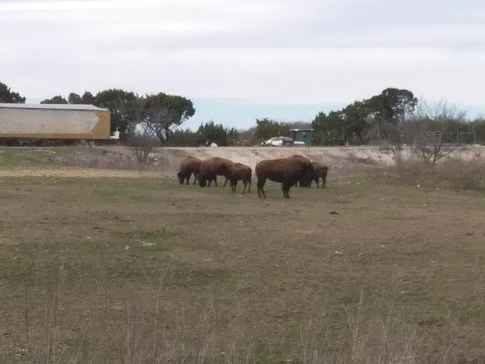 Bison Hill Ranch Picture 7