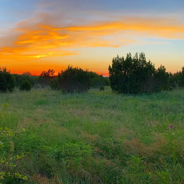 Bison Hill Ranch Picture 4