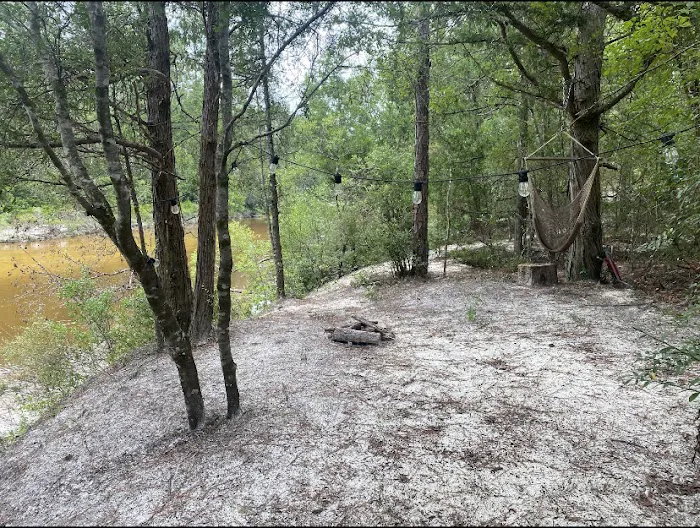 The Wandering Path Picture 10
