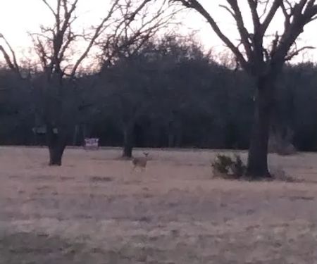 Barnard Street RV Park