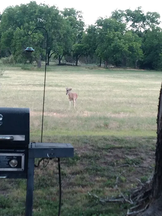 Barnard Street RV Park Picture 8