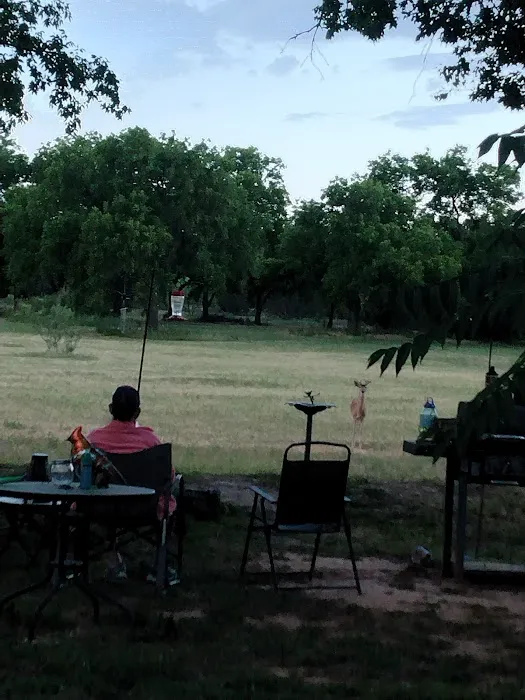 Barnard Street RV Park Picture 10