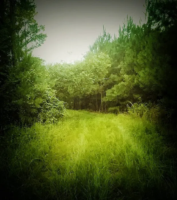 Xanadu Picture 6
