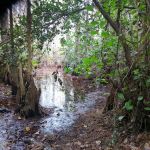 Ernest Coe Campground