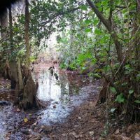 Ernest Coe Campground ico