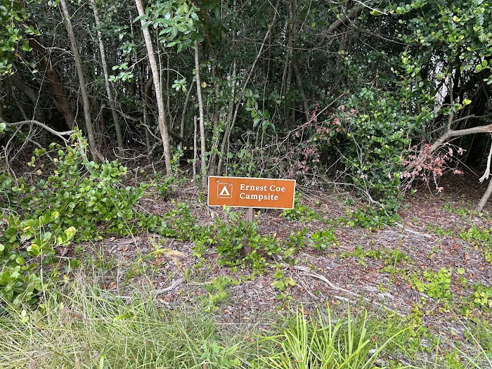 Ernest Coe Campground Picture 3