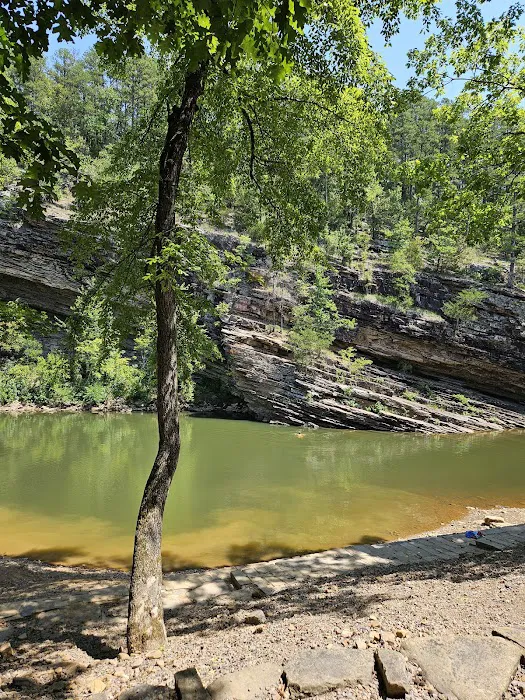 Jack Creek Recreation Area Picture 3