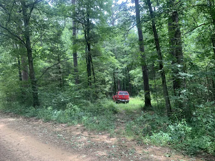 Jack Creek Recreation Area Picture 6