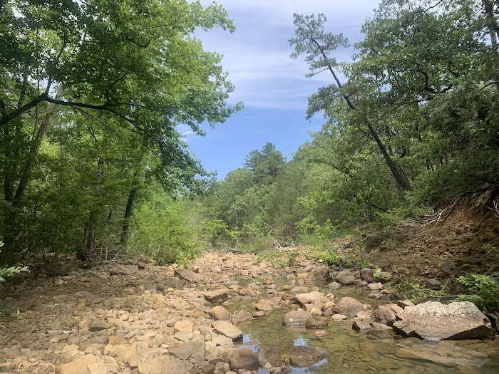 Jack Creek Recreation Area Picture 9