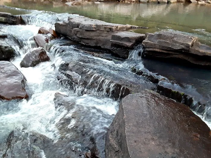 Jack Creek Recreation Area Picture 10