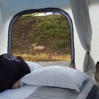 Hot Springs National Park KOA Holiday ico
