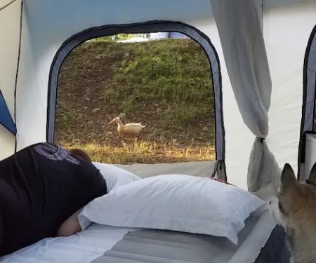 Hot Springs National Park KOA Holiday