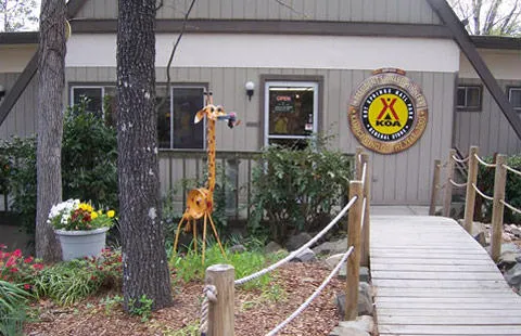 Hot Springs National Park KOA Holiday Picture 3