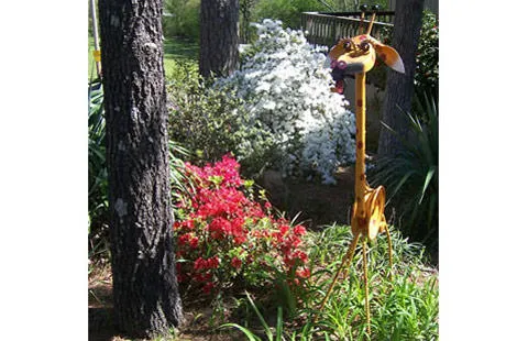 Hot Springs National Park KOA Holiday Picture 10